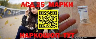 спиды Сланцы