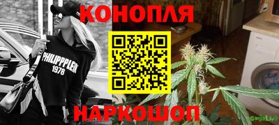 прущие крисы Славгород