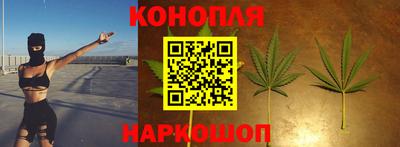спиды Сланцы
