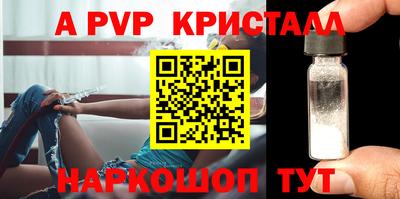 спиды Сланцы
