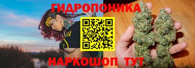 спиды Сланцы