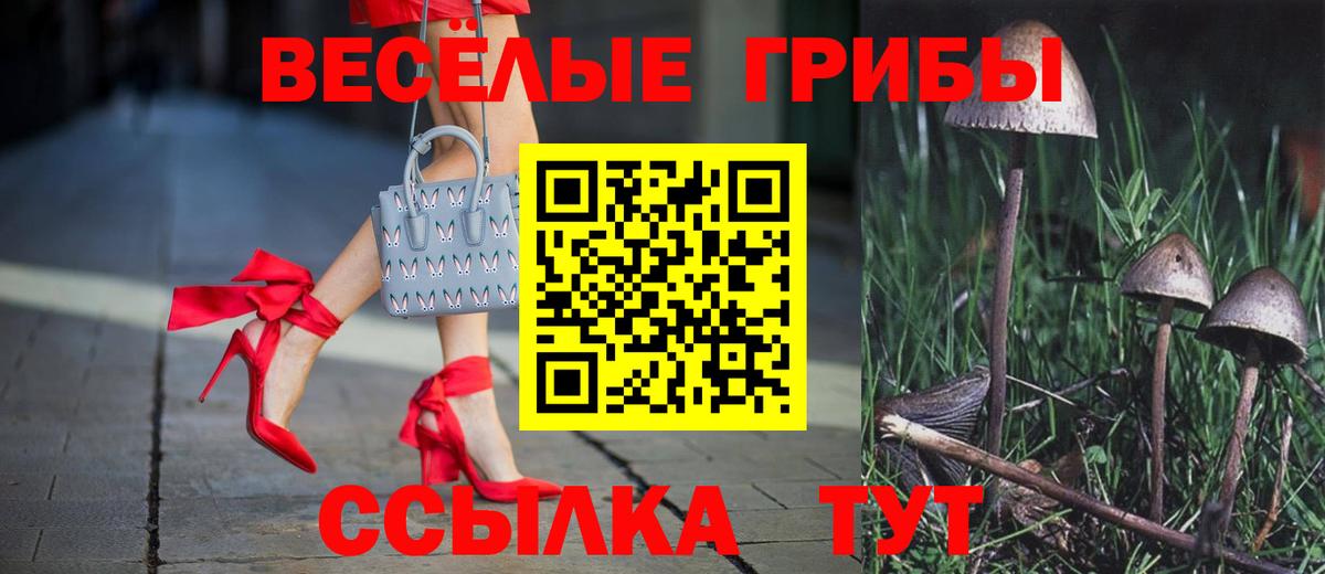 Псилоцибиновые грибы ЛСД  Вход с VPN  Орск  Псилоцибиновые грибы GOLDEN TEACHER 